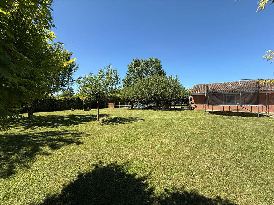 Maison à SAINT-DIDIER-SUR-CHALARONNE