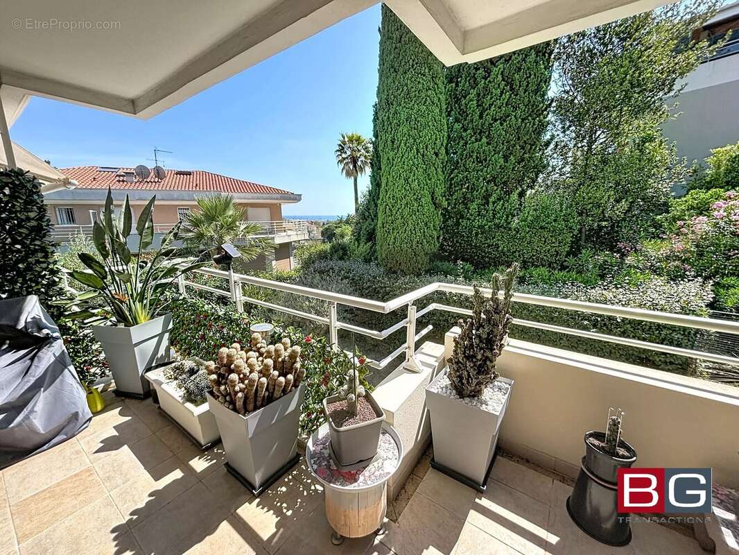 Grand 2 P. 52 M² + terrasse 26 m² belle résidence - photo 3