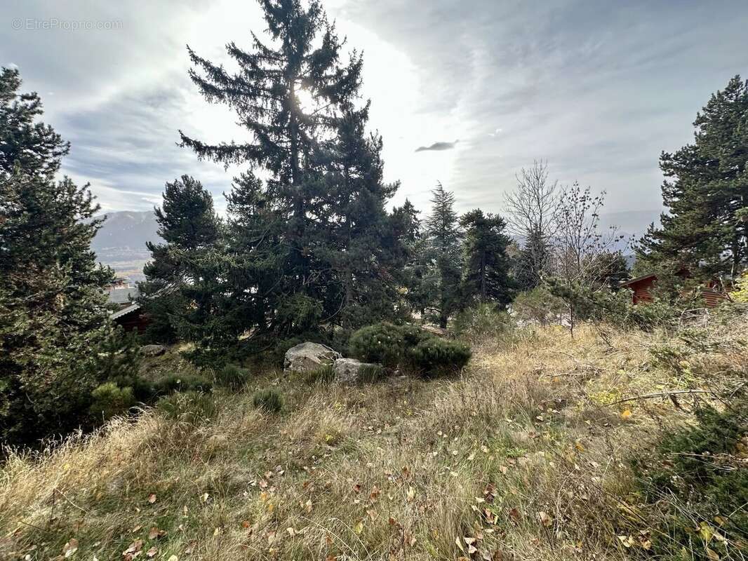 Terrain à FONT-ROMEU-ODEILLO-VIA