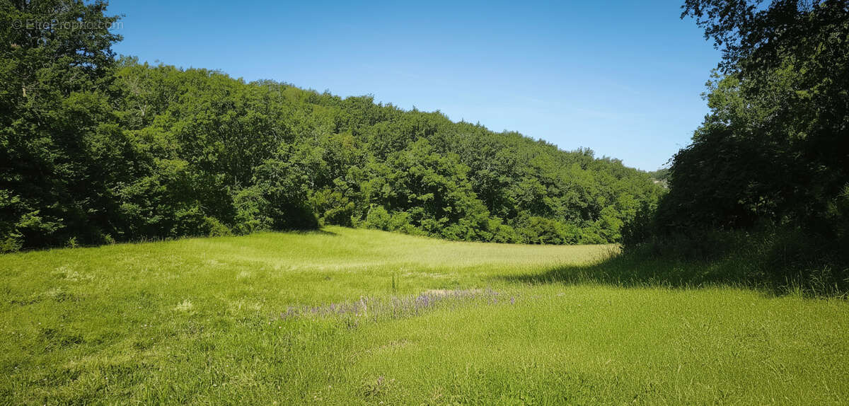 Propriété agricole sur environs 22 hectares de bois et de prairie. - photo 5