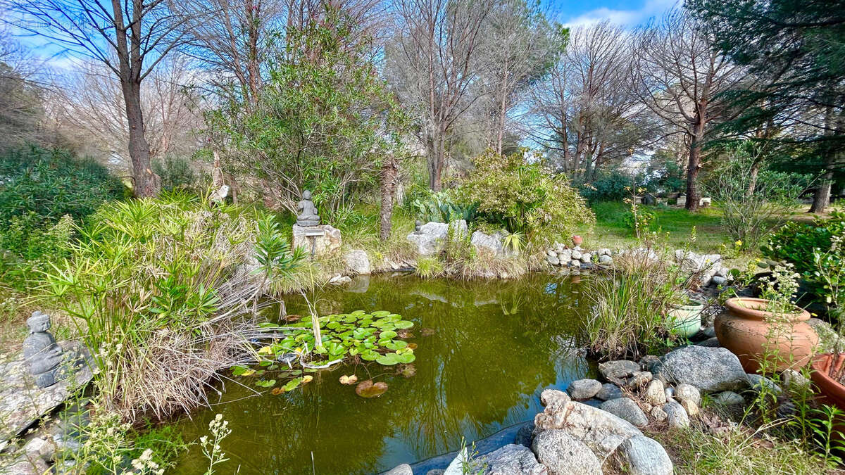 Maison à MONTESQUIEU-DES-ALBERES