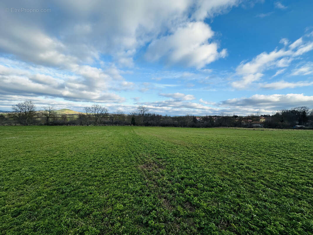 Terrain à CHASPUZAC