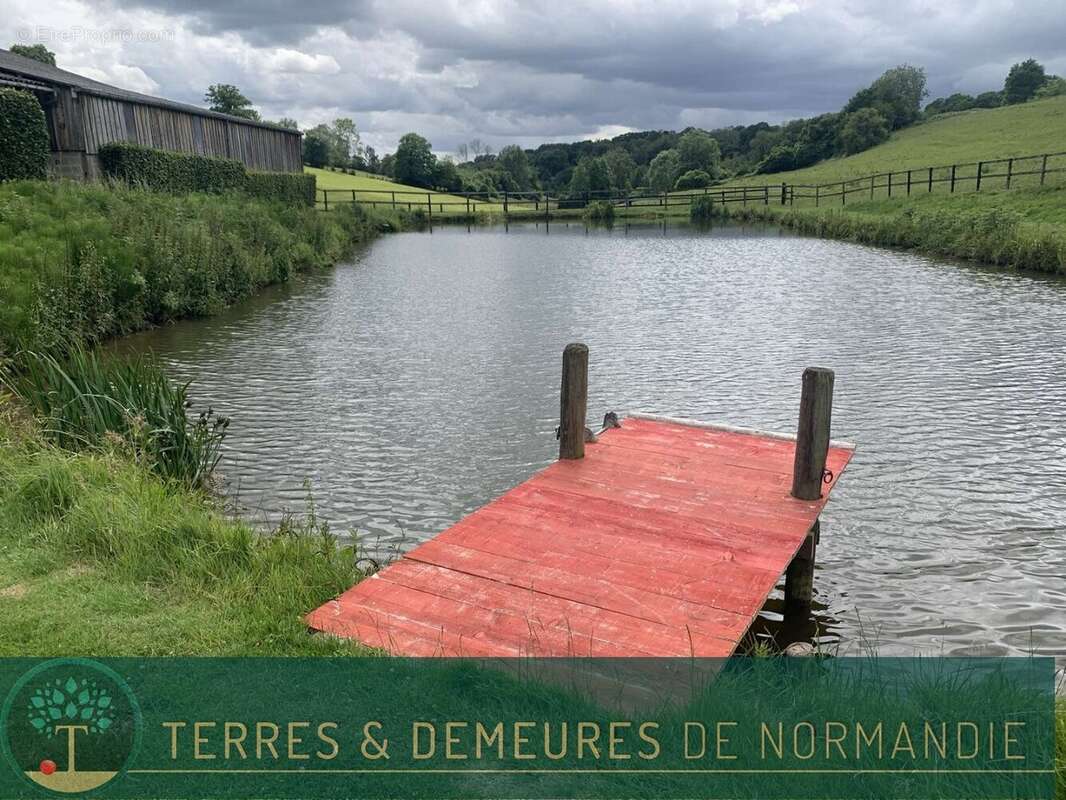 A vendre dans le PAYS D'AUGE du CALVADOS, secteur LISIEUX, haras d'élevage de chevaux sur une surface de 48 ha. - photo 10