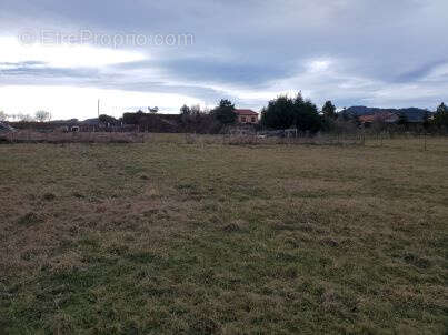 Terrain à SOLIGNAC-SUR-LOIRE
