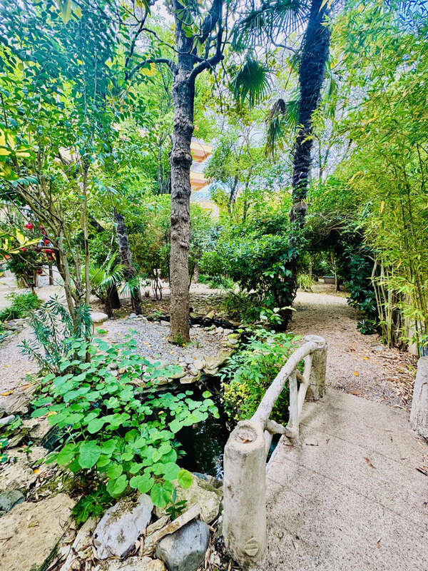 Exceptionnel - centre de carcassonne - maison de 340m2 avec jardin clos - photo 4