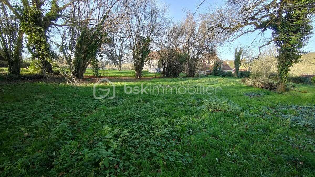 Maison à TRONSANGES