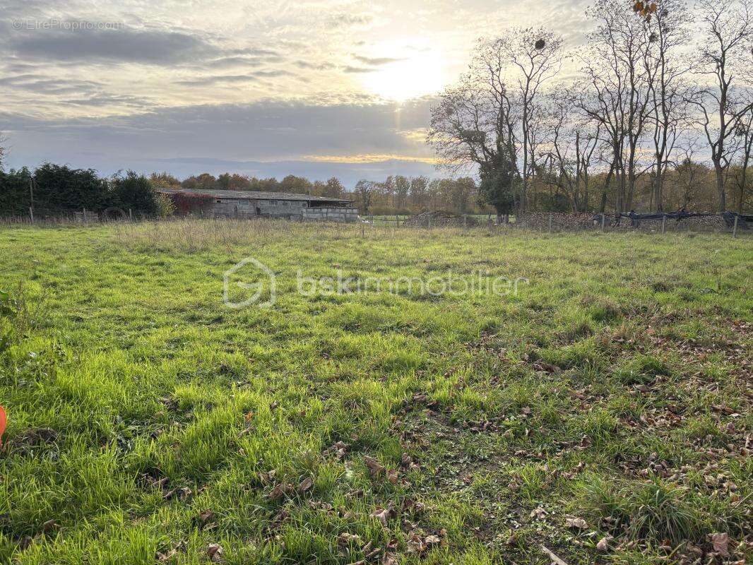 Terrain à SAINTE-OPPORTUNE-DU-BOSC