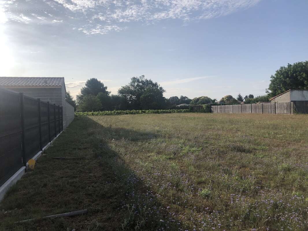 Terrain à AMBARES-ET-LAGRAVE
