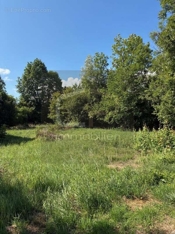 Maison neuve à vendre à Allonzier-la-Caille (74350)  4 pièces  100 m²  Frais de notaire offerts - photo 3