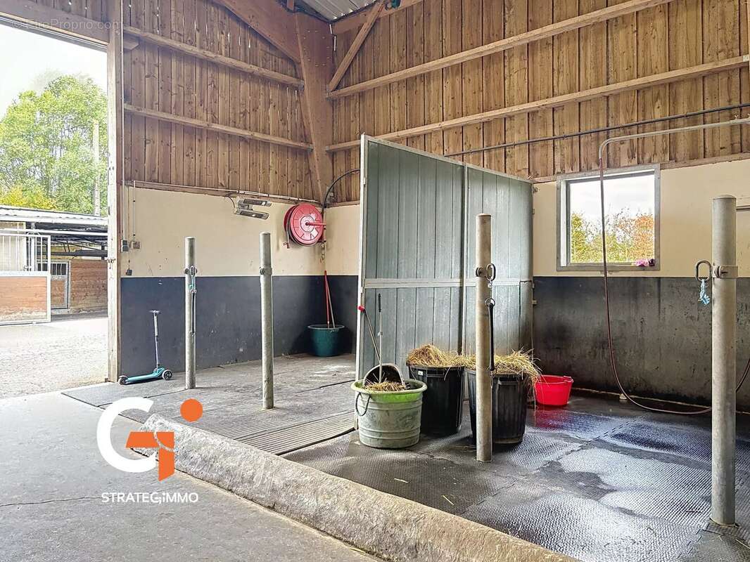 Propriété équestre et Habitation sur 14 Ha - photo 17