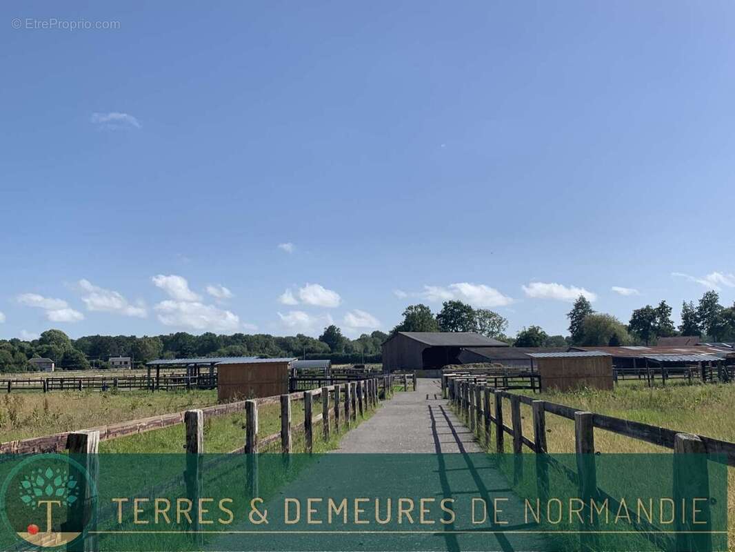 Dans le département de l'EURE, entre LIEUREY et PONT AUDEMER, A vendre en exclusivité un haras de 25 ha - photo 17