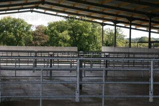 Haras de Reproduction Clé en Main sur 52 ha dans le Morbihan (5 - photo 8