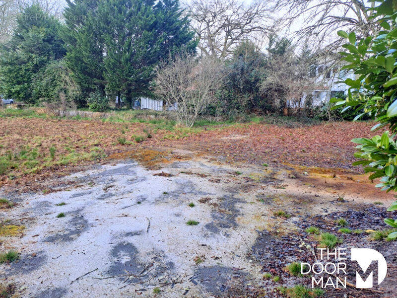 Terrain à BELIN-BELIET