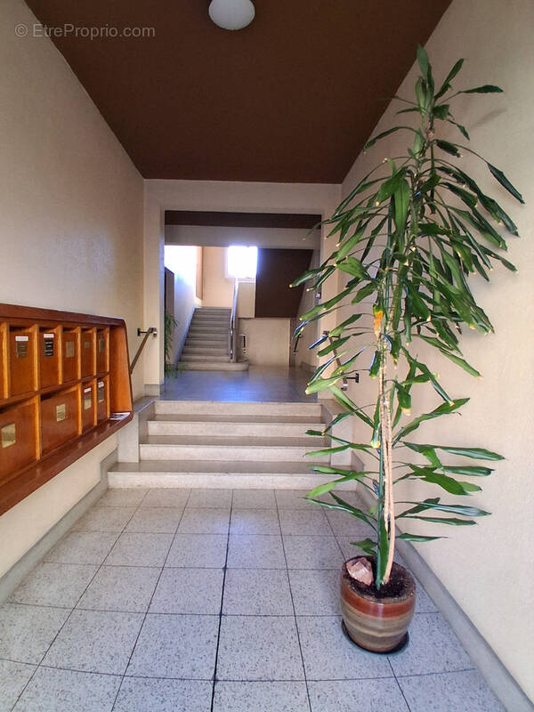 Appartement à ROANNE