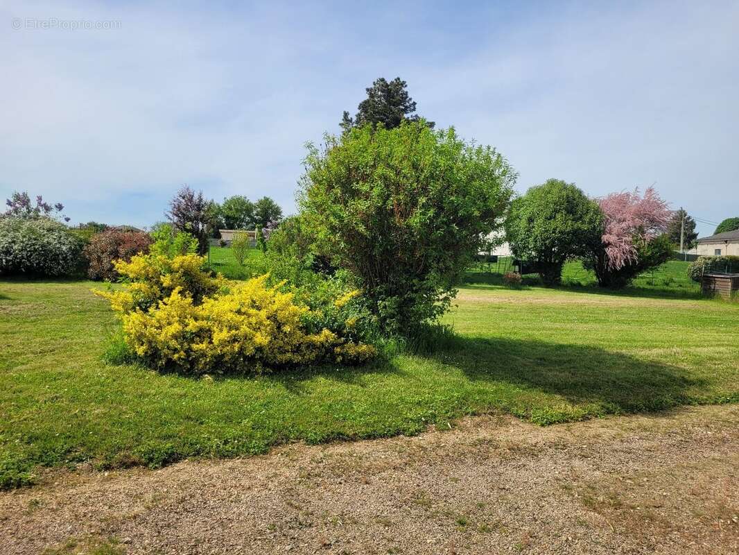 Terrain plat avec vue montagne - photo 4