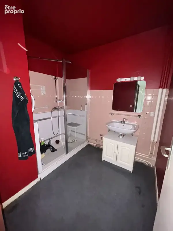 Appartement 4 pièces 72 m² à vendre à Grenoble (38100) - photo 4
