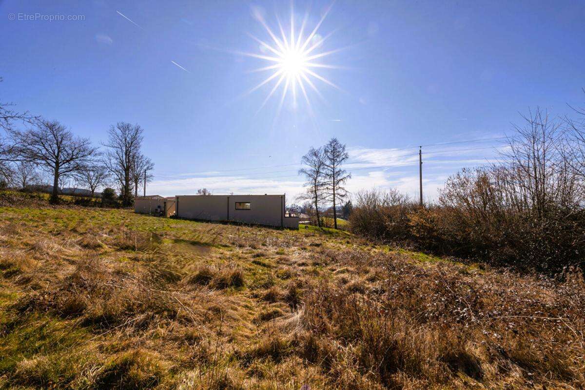 Terrain à SAINTE-AGATHE-EN-DONZY