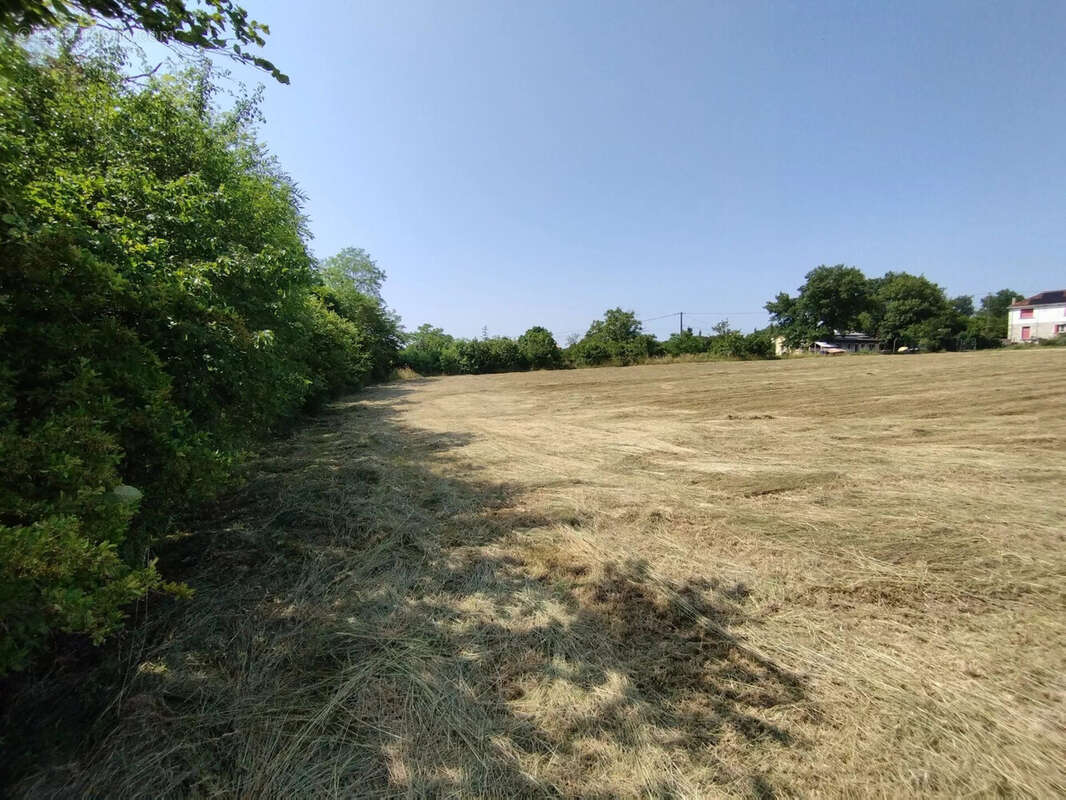 Terrain à CASTELNAU-MONTRATIER