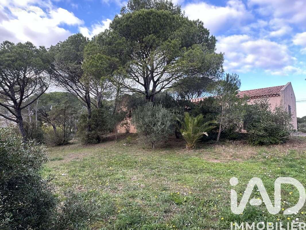 Photo 4 - Maison à PUGET-SUR-ARGENS