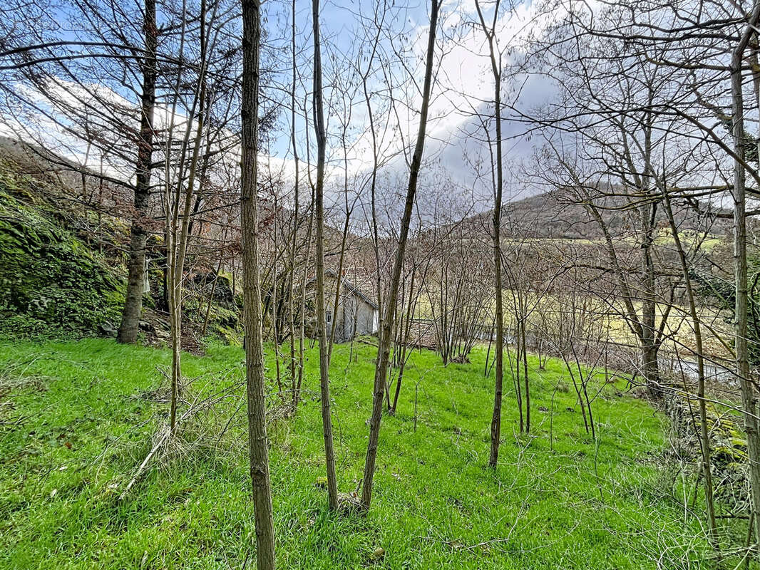 Maison à TORSIAC