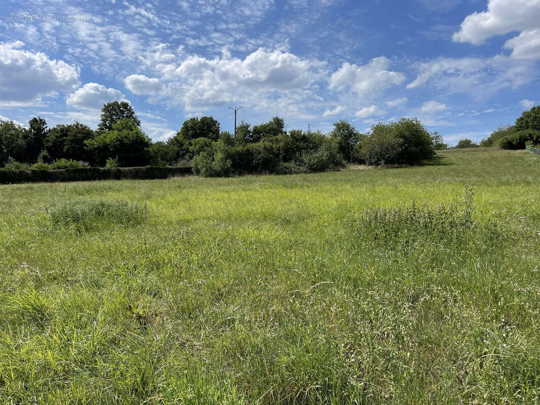Terrain constructible de 3200 m2 - photo 3