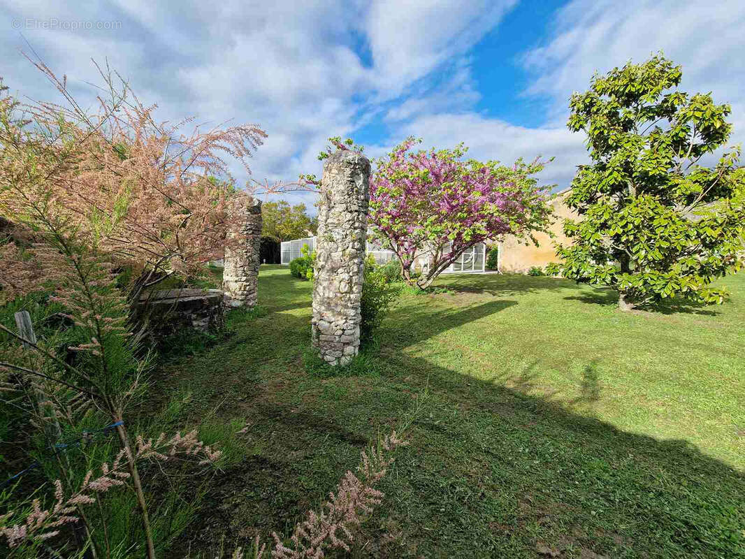 Maison de maître avec dépendances et piscine - photo 12