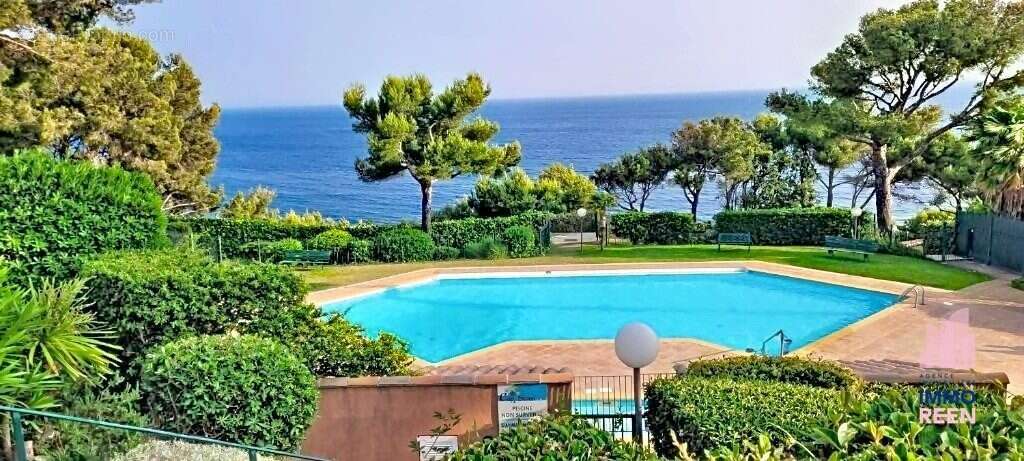 Appartement 39 m² à Saint-Mandrier-Sur-Mer  - photo 3