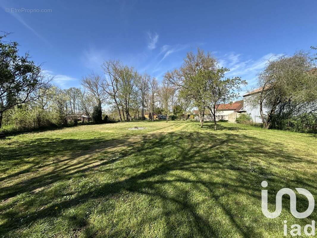 Photo 2 - Terrain à LES BORDES