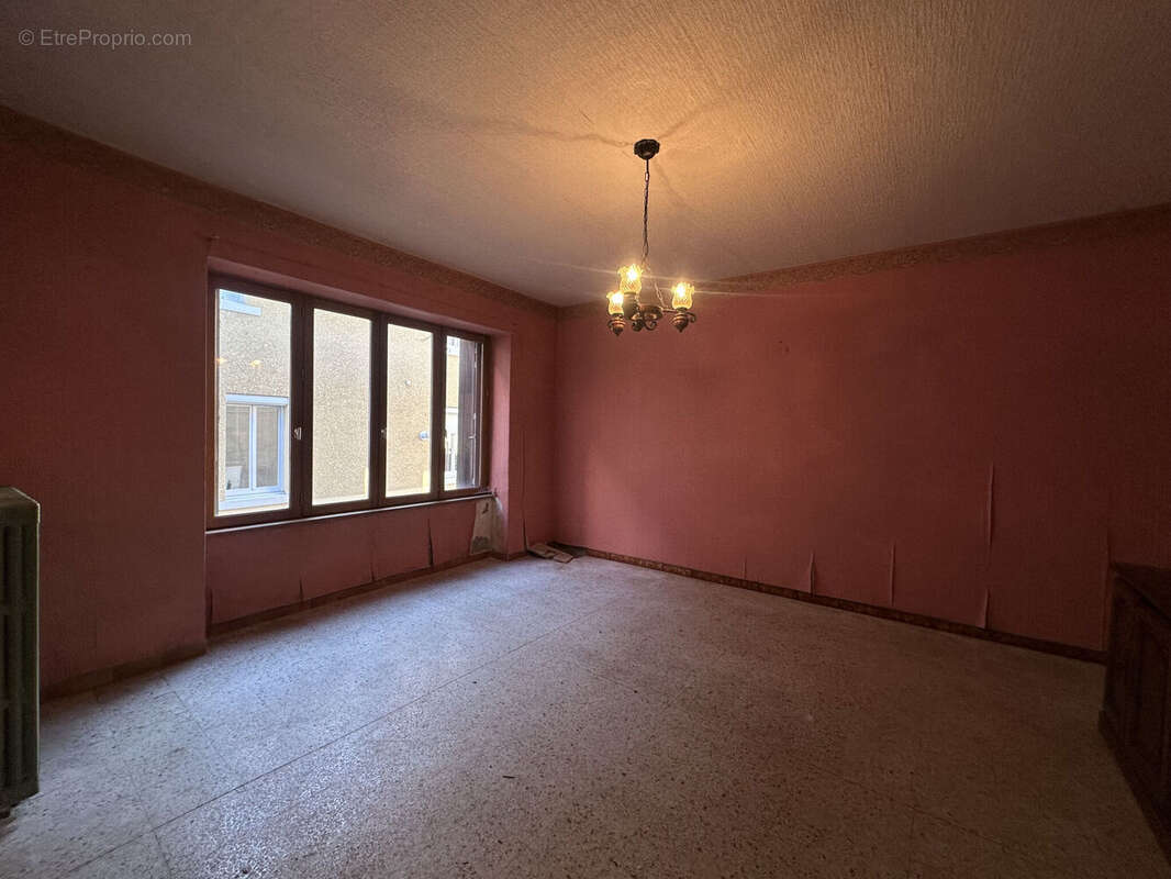 Photo 8 - Maison à SAINT-VICTOR-SUR-RHINS