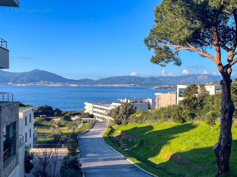Appartement à PIETROSELLA