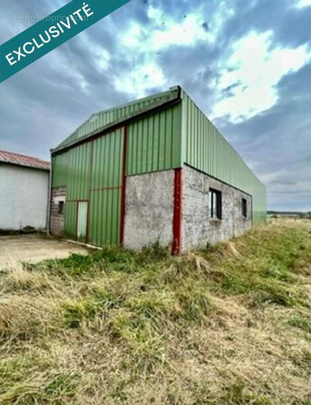 Photo 4 - Appartement à MANGIENNES