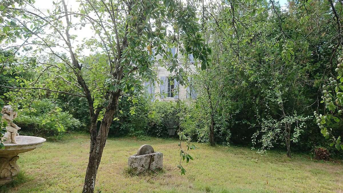 Maison à TAILLEBOURG