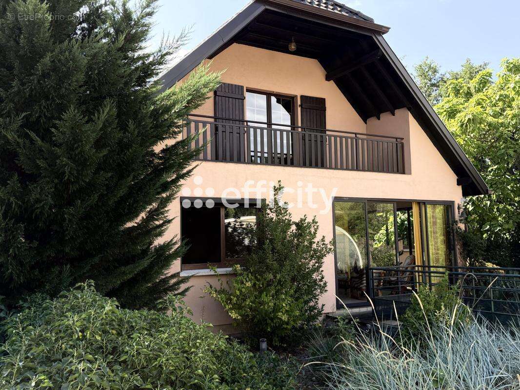 Maison 308 m² à Steinbach  - photo 4