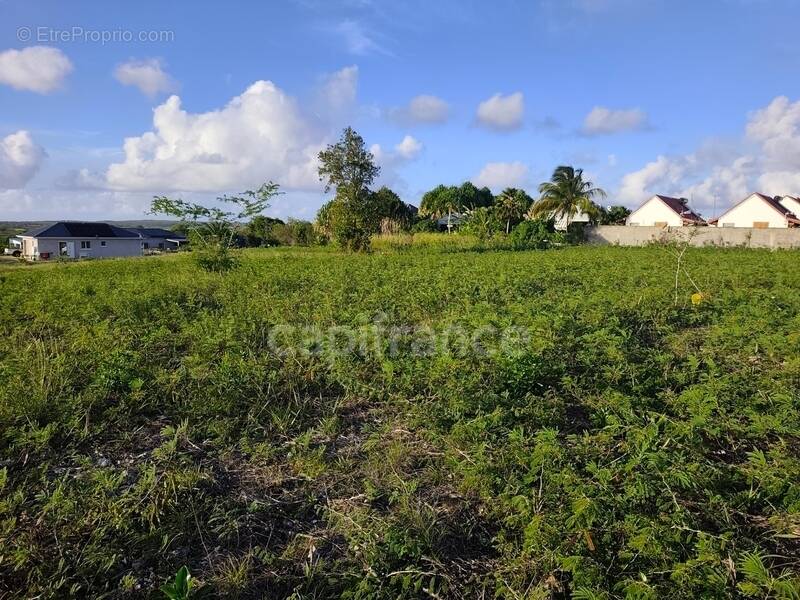 Terrain à ANSE-BERTRAND