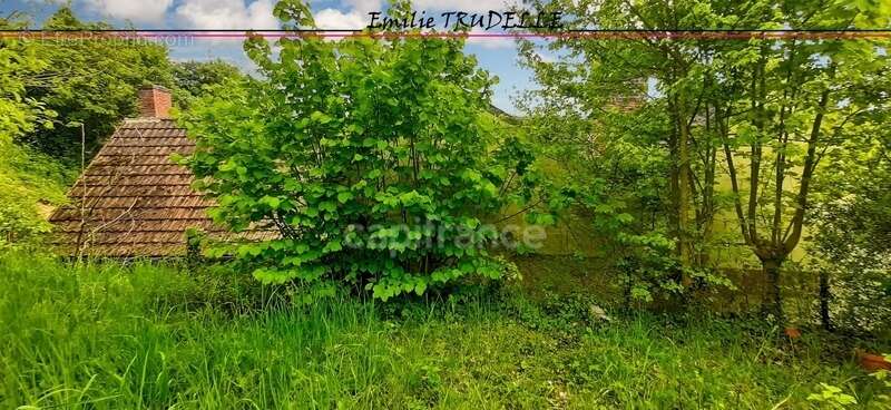 Maison authetique à vendre 4 pièces PONCE SUR LE LOIR (72) terrain 537m² - photo 25