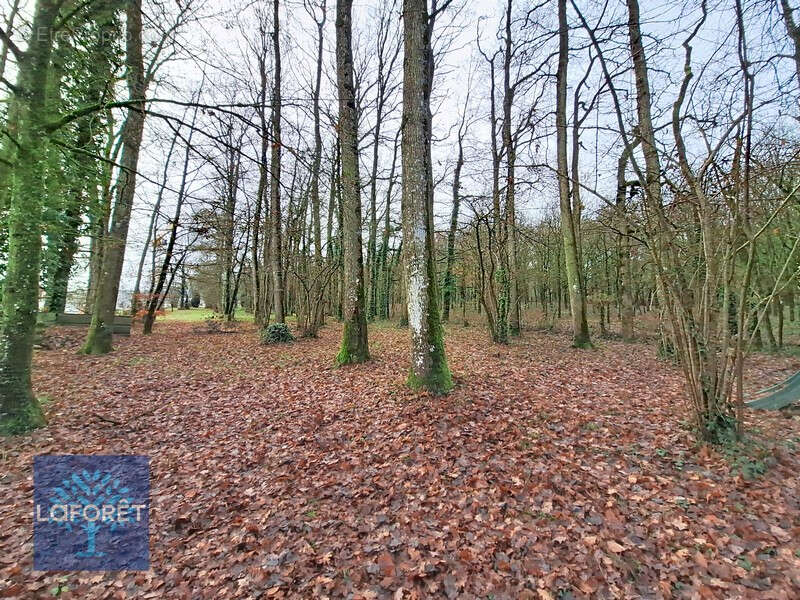 Maison à COMBOURTILLE