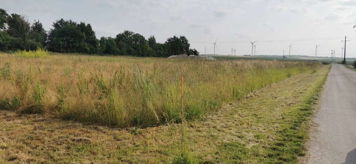 Terrain à SAINTE-MAURE