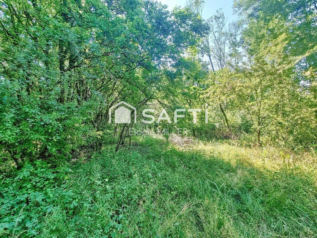 Terrain 2593 m² à Pulligny  - photo 3