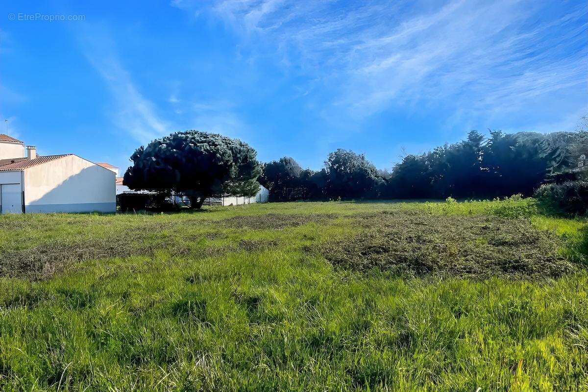 Terrain à SAINT-DENIS-D&#039;OLERON