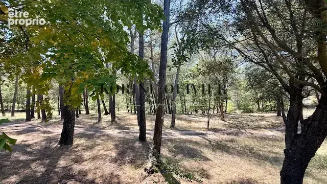 Saint paul les durance : mas provençal au calme - photo 24