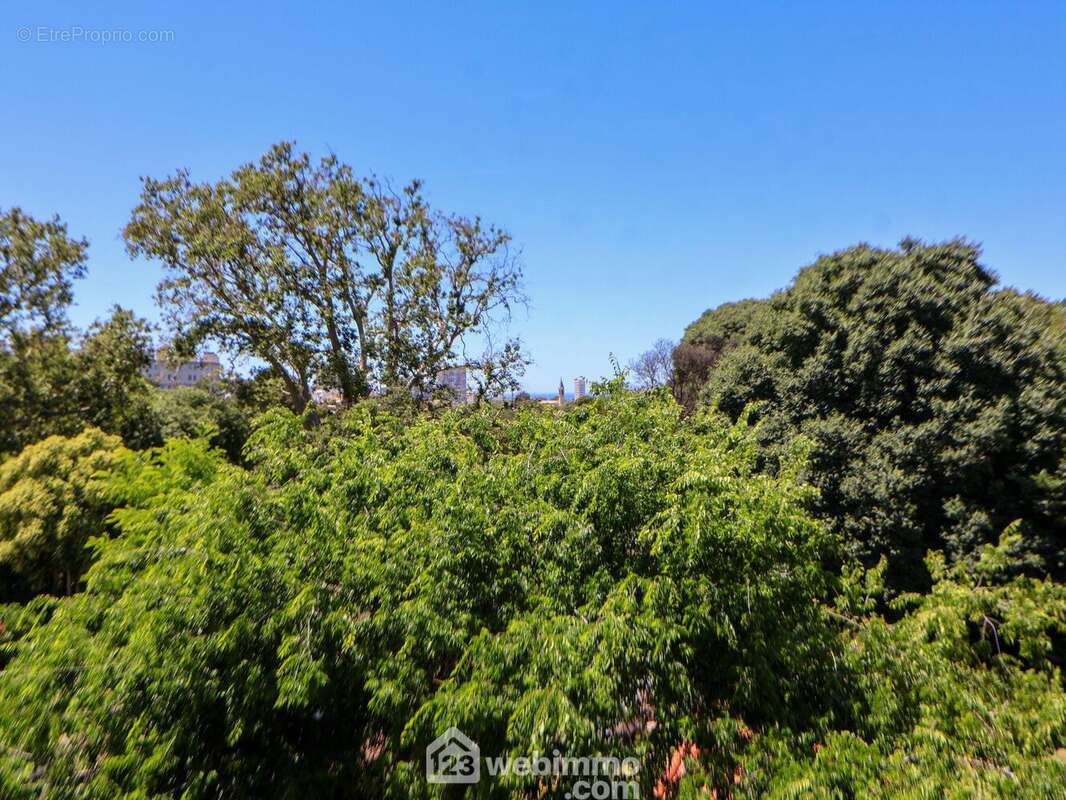 Appartement 93 m² à Marseille-9e  - photo 8