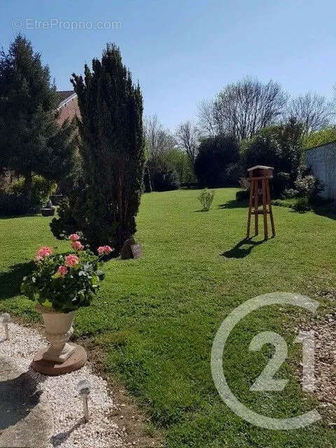 Maison 200 m² à Vitry-En-Perthois  - photo 4