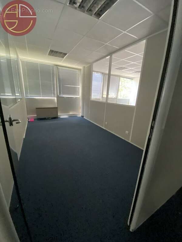 Commerce à SAINT-ALBAN