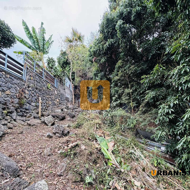 Terrain à SAINT-PAUL