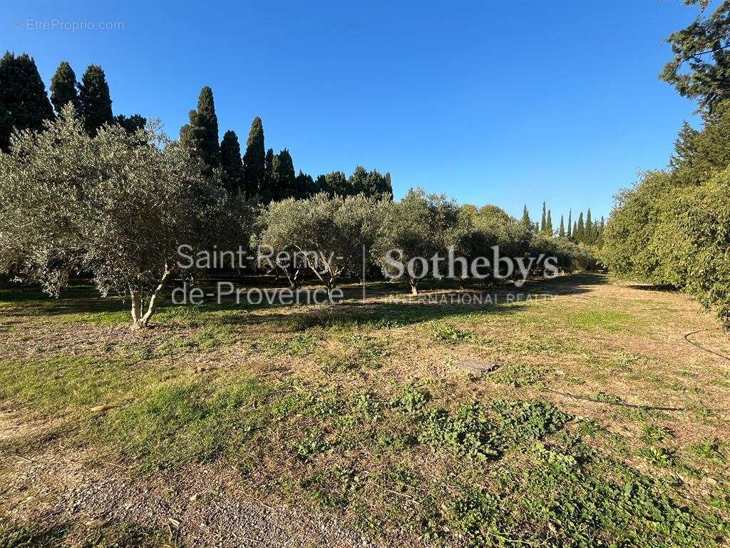 Maison à SAINT-REMY-DE-PROVENCE