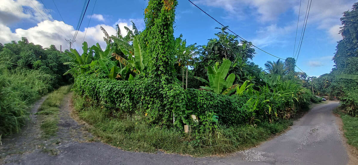 Maison à CAPESTERRE-BELLE-EAU