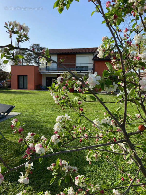 Maison à ECULLY