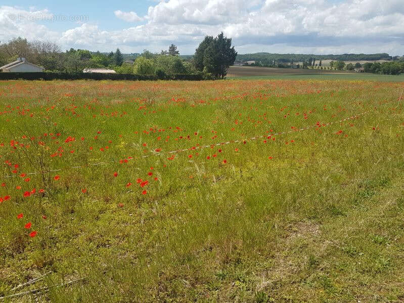 Terrain à VERTEILLAC