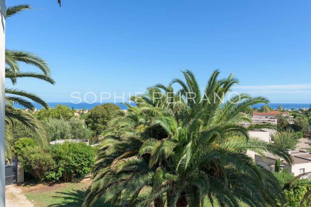 Antibes - villa belle époque avec piscine - photo 11