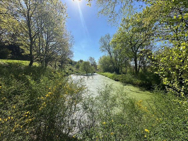 Maison à NEUFCHATEL-EN-BRAY